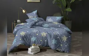 Комплект постельного белья 2.0 макси, полисатин, Текстильная симфония, Ария 2